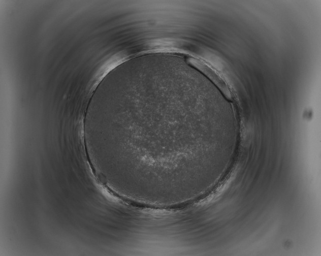 X0000098111289200804041335