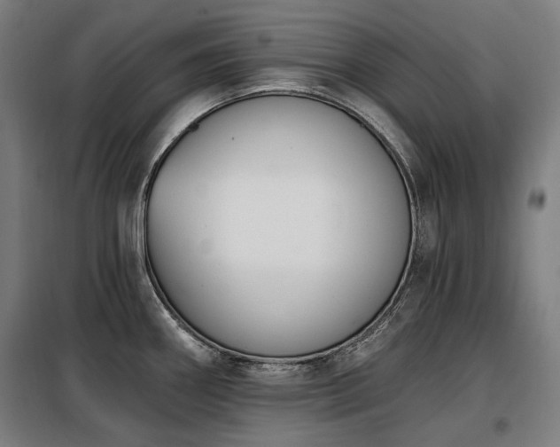 X0000098111290200804041335