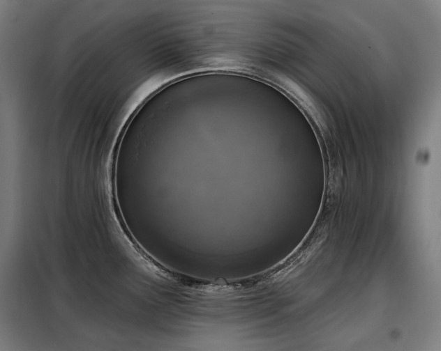 X0000098111291200804041335