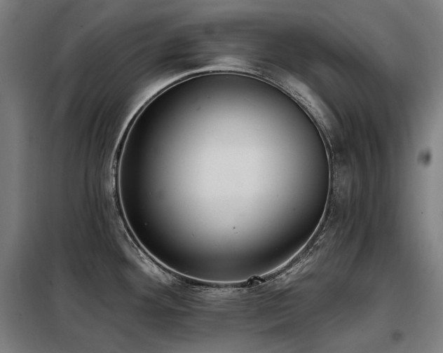 X0000098111292200804041335