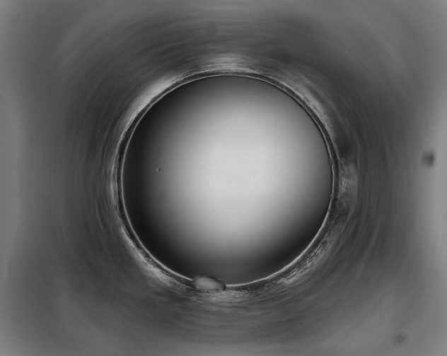 X0000098111293200804041335