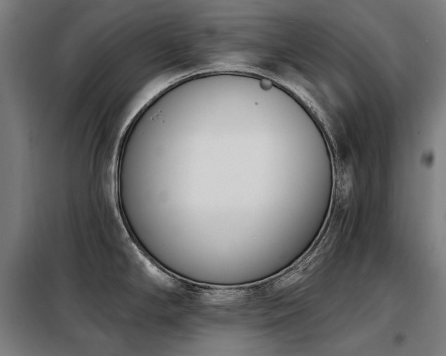 X0000098111294200804041335