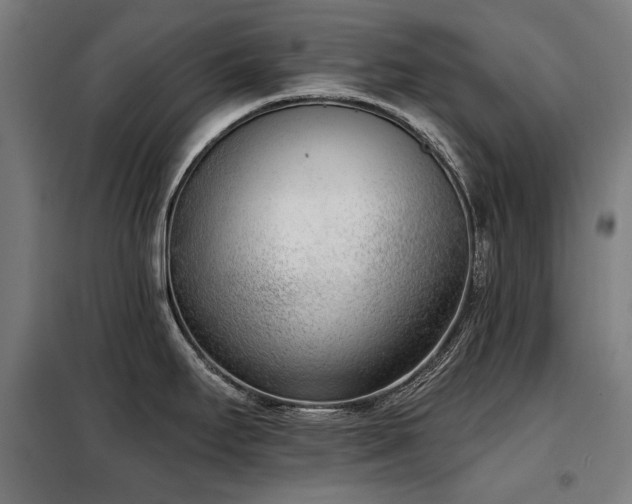 X0000098111295200804041335