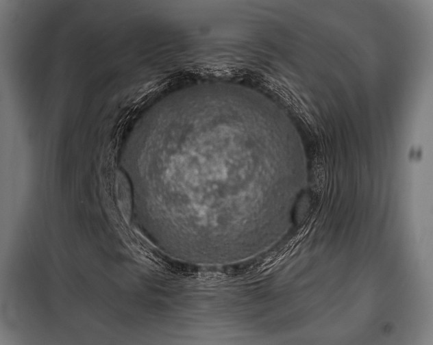 X0000098111297200804041334