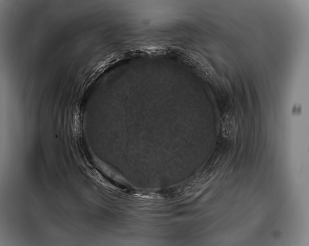 X0000098111298200804041334