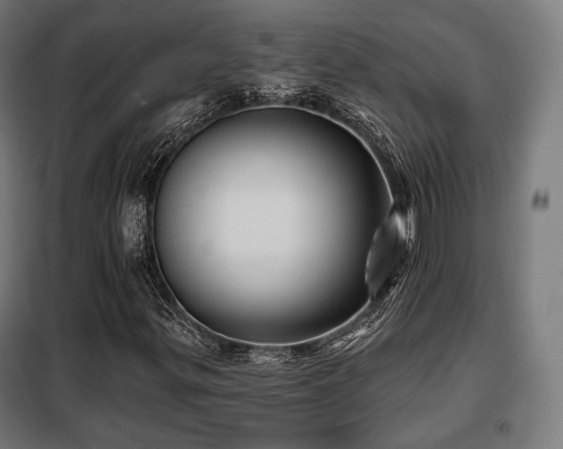 X0000098111299200804041334