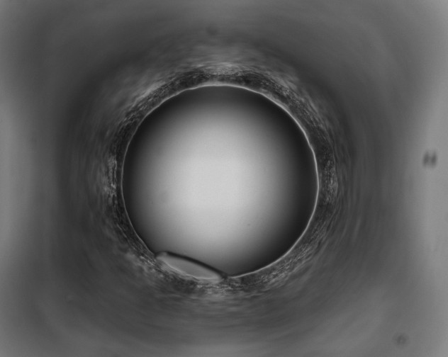 X0000098111301200804041334
