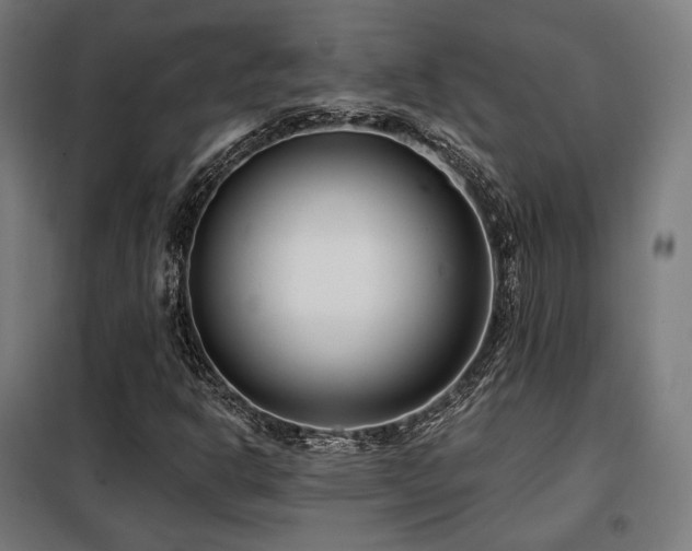 X0000098111302200804041334