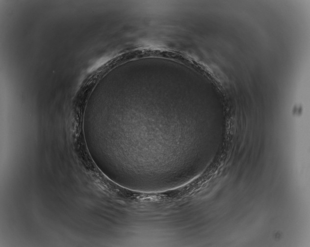 X0000098111303200804041334