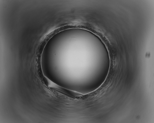 X0000098111304200804041334