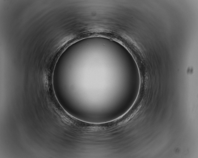 X0000098111305200804041334