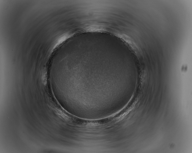 X0000098111306200804041334
