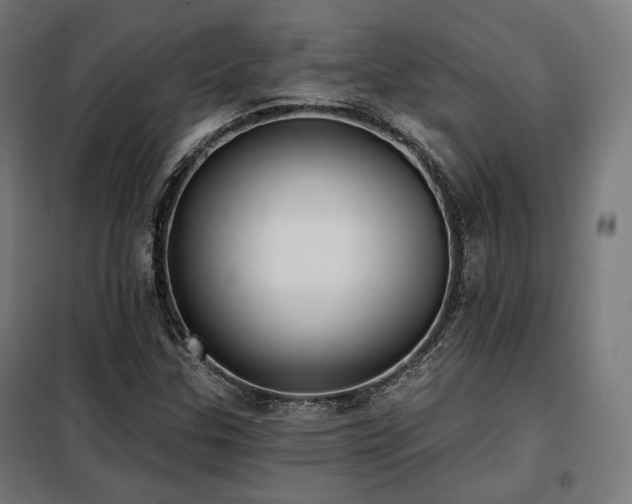 X0000098111307200804041334