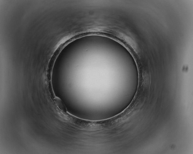 X0000098111308200804041334