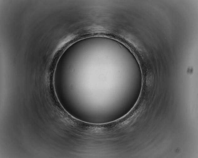 X0000098111309200804041334
