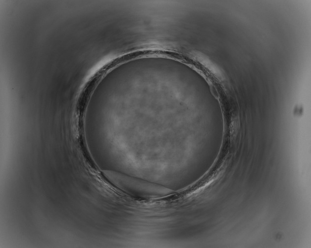 X0000098111310200804041334