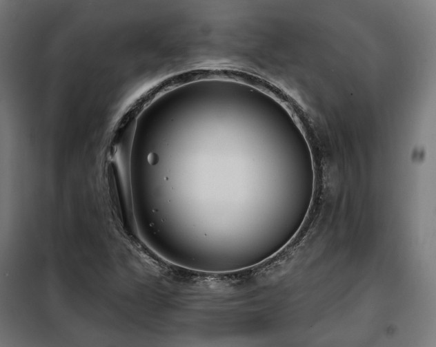 X0000098111311200804041334