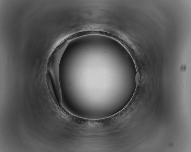 X0000098111312200804041334