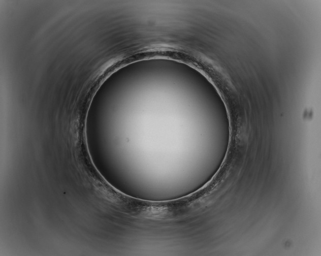 X0000098111313200804041334