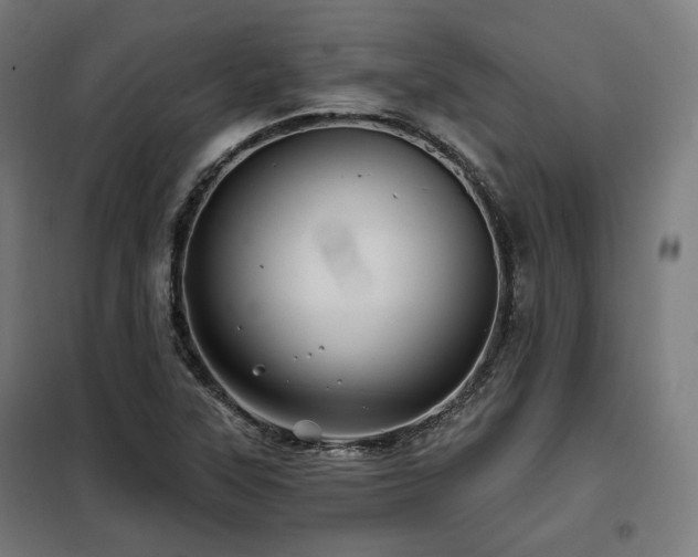 X0000098111315200804041334