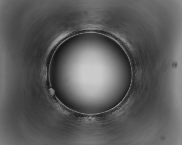 X0000098111317200804041334