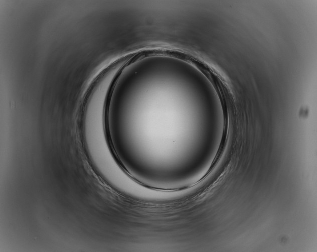 X0000098111318200804041334