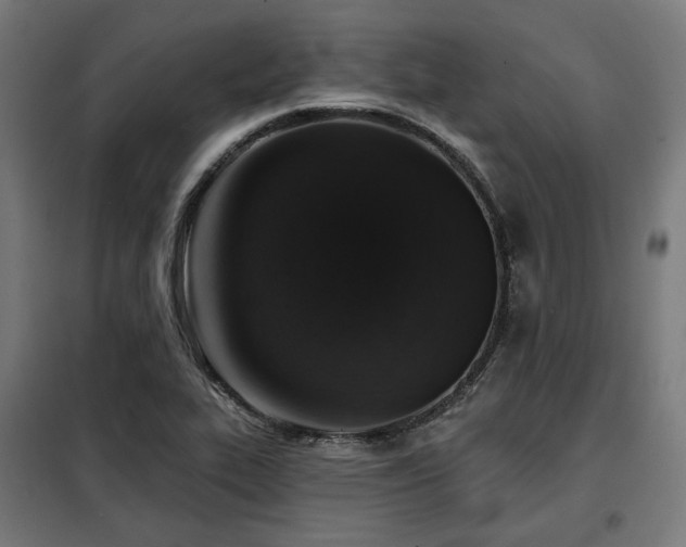X0000098111319200804041334