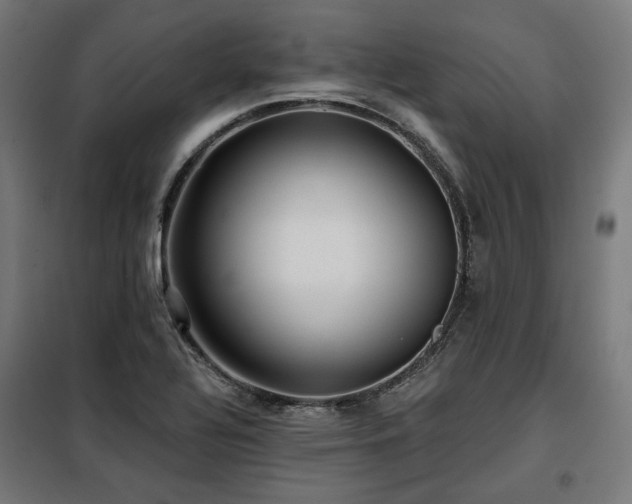 X0000098111320200804041334