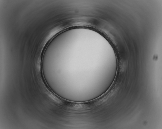 X0000098111322200804041334