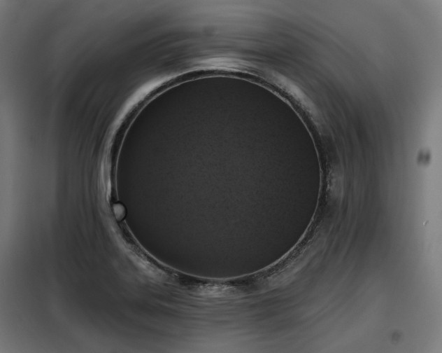 X0000098111323200804041334