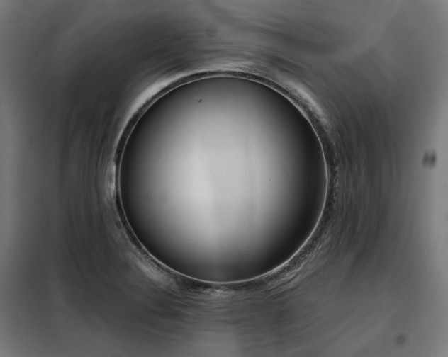 X0000098111324200804041334