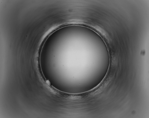 X0000098111325200804041334