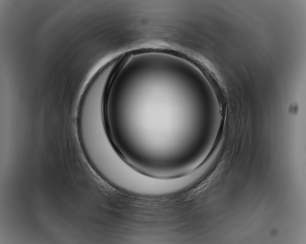X0000098111326200804041334