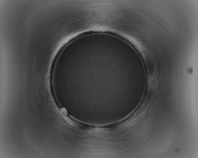 X0000098111327200804041334