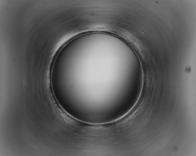 X0000098111328200804041335