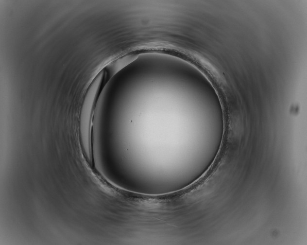 X0000098111329200804041335