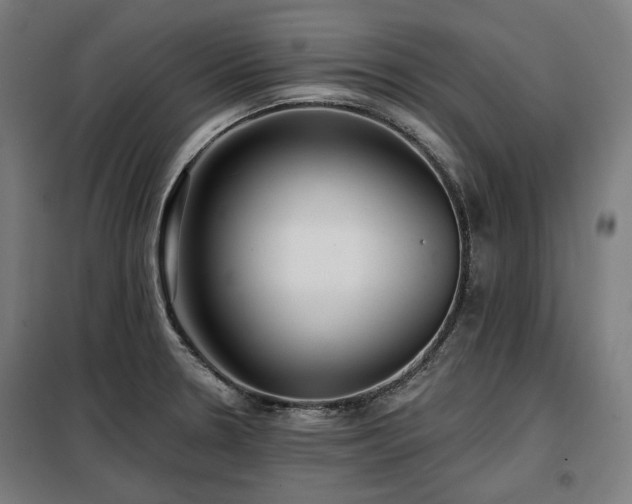 X0000098111330200804041335