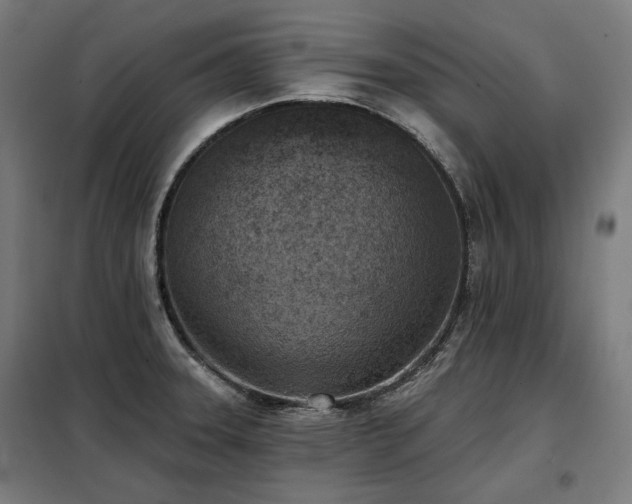X0000098111331200804041335