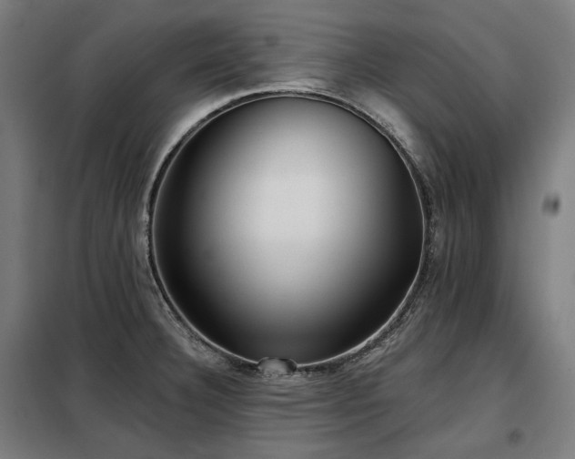 X0000098111332200804041335