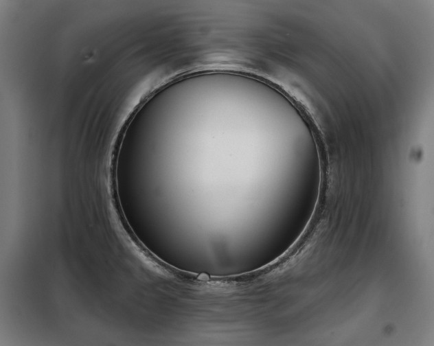 X0000098111333200804041335