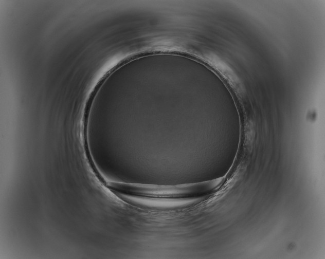 X0000098111334200804041335