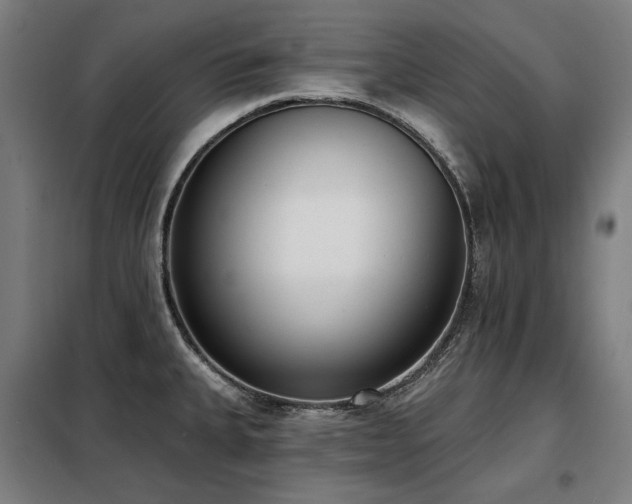 X0000098111335200804041335
