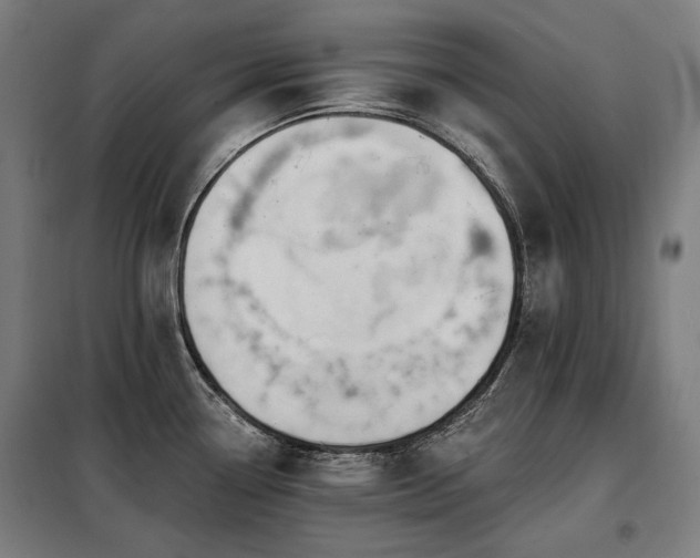 X0000098111338200804041335