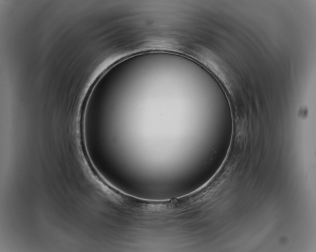 X0000098111339200804041335