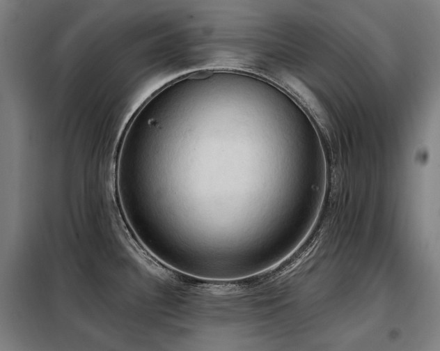 X0000098111340200804041335