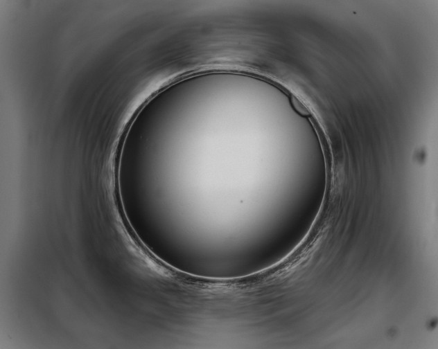 X0000098111341200804041335