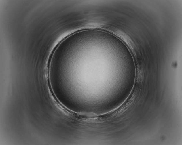 X0000098111342200804041335