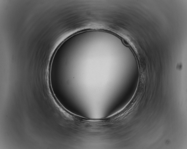 X0000098111343200804041335