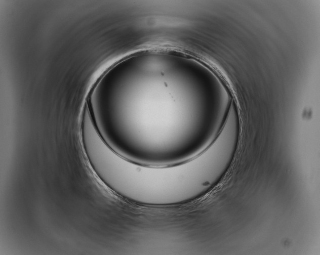 X0000098111344200804041335