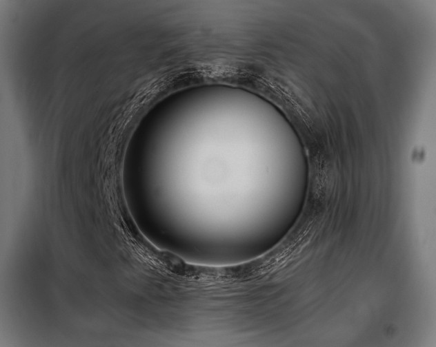 X0000098111345200804041334